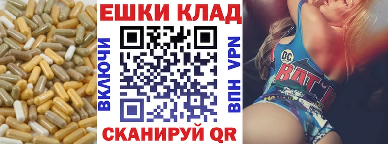 ЭКСТАЗИ Philipp Plein  Купить где  Надым 