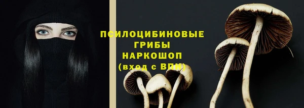 амф Нягань