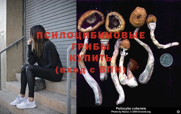 амф Нягань
