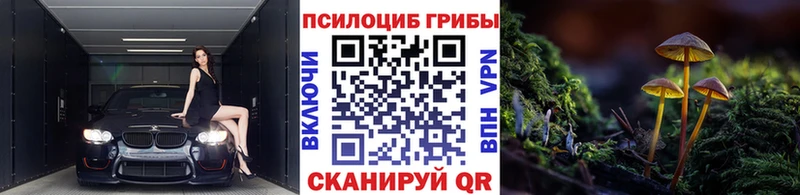 Купить закладки  Надым  Галлюциногенные грибы Cubensis 
